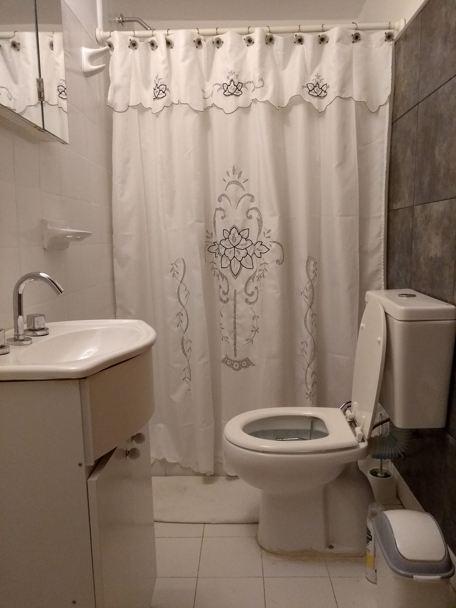 Baño completo del Loft / Studio